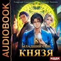 Андрей Ткачев, Георгий Сомхиев. «Младший сын князя. Книга 8»