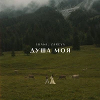 Душа моя