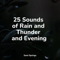 25 Sounds of Rain and Thunder and Evening