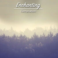 #22 Enchanting Compilation for Meditation