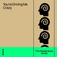 You're Driving Me Crazy