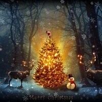 Essential Christmas 2017 Collection: Instant Good Vibes on Christmas and New Years