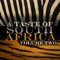 A Taste Of South Africa Vol 2
