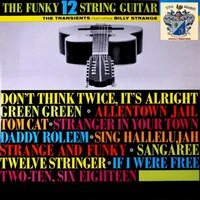 The Funky 12 String Guitar