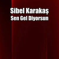 Sen Gel Diyorsun