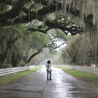 Bayou Bandit