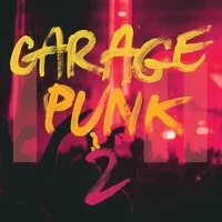 Garage Punk 2
