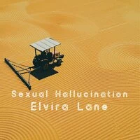 Sexual Hallucination
