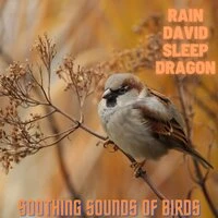Soothing Sounds of Birds