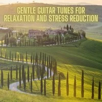 Gentle Guitar Tunes For Relaxation And Stress Reduction