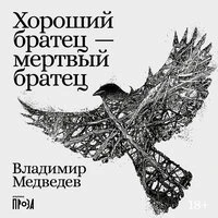 Владимир Медведев. «Хороший братец — мертвый братец»