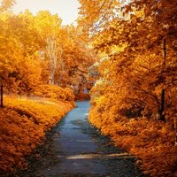 Осень …