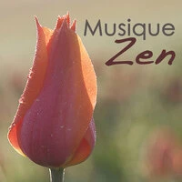 Musique Zen: Coffret bien-être de musique relaxante piano et new age pour détente, méditation et massage