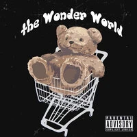 The wonder world