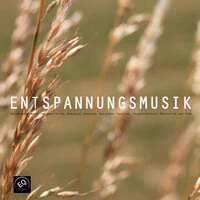 Entspannungsmusik für Meditation, Mentales Training, Autogenes Training, Transzendentale Meditation und Yoga