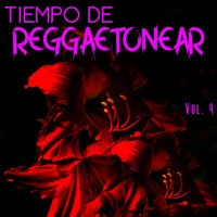 Tiempo De Reggaetonear Vol. 4
