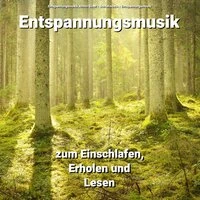 Entspannungsmusik zum Einschlafen, Erholen und Lesen