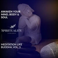 Awaken Your Mind, Body & Soul - Meditation Like Buddha, Vol. 3