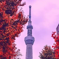 Tokyo(音楽)