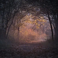 100 Spring Sounds of Nature - Ambient Nature Sounds for Mindfulness Meditation and Sleep