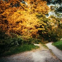 Mindful Living