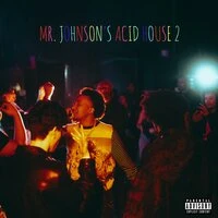 Mr. Johnson's Acid House 2