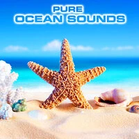 Pure Ocean Sounds