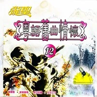 龙圣粤语旧曲情怀-12