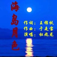 海岛月色