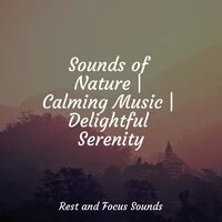 Sounds of Nature | Calming Music | Delightful Serenity