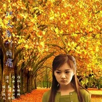 秋天落叶的痛