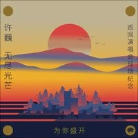 为你盛开-许巍《无尽光芒》巡回演唱会现场纪念