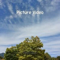 Picture Video