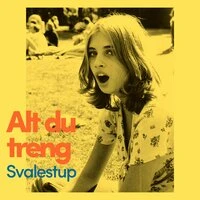 Alt du treng