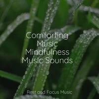 Comforting Music Mindfulness Music Sounds