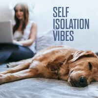 Self Isolation Vibes