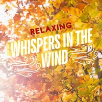 Whispers in the Wind