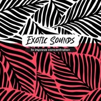 Exotic Sounds to Improve Concentration - Discover the Effective Way to Study