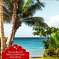 Morning Bliss with Relaxing and Peaceful Tunes, Vol. 01