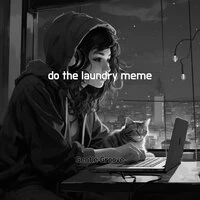 do the laundry meme