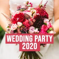 Wedding Party 2020