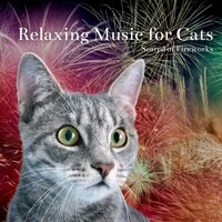 Relaxing Music for Cats Scared of Fireworks - Calming Music for Cats