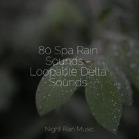 80 Spa Rain Sounds - Loopable Delta Sounds