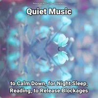 Quiet Music to Calm Down, for Night Sleep, Reading, to Release Blockages