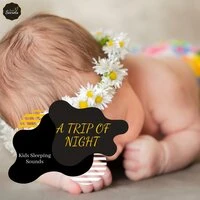 A Trip Of Night - Kids Sleeping Sounds