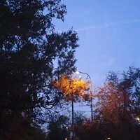 уходить в одну песню