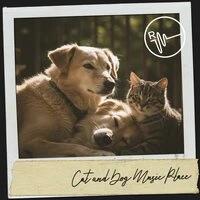 Cat and Dog Music Place: Serenity's Lullaby