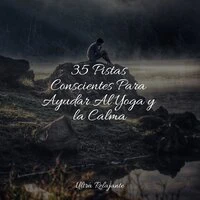 35 Pistas Conscientes Para Ayudar Al Yoga y la Calma