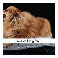 No More Doggy Stress