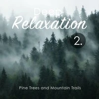 Deep Relaxation: Pine Trees and Mountain Trails 2
